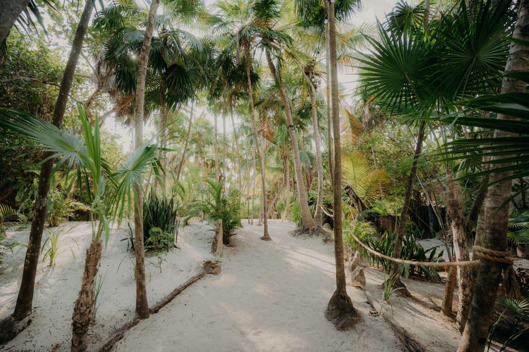 Appartement Luxury Penthouse With Private Pool In Aldea Zama à Tulum Extérieur photo